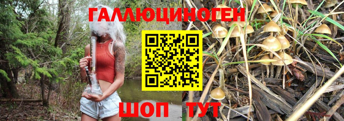 Галлюциногенные грибы Magic Shrooms Клинцы