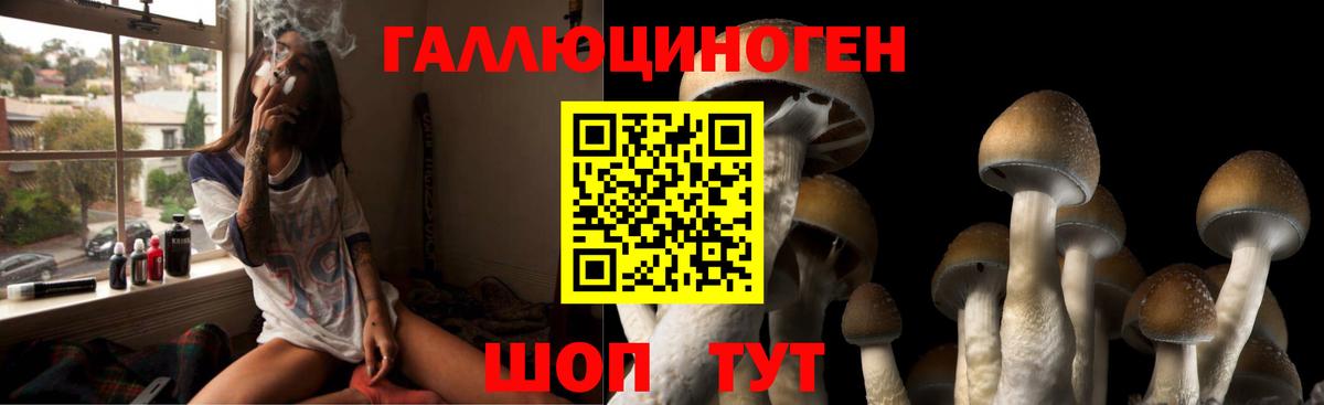 Клинцы  Псилоцибиновые грибы Psilocybine cubensis  Вход с VPN 